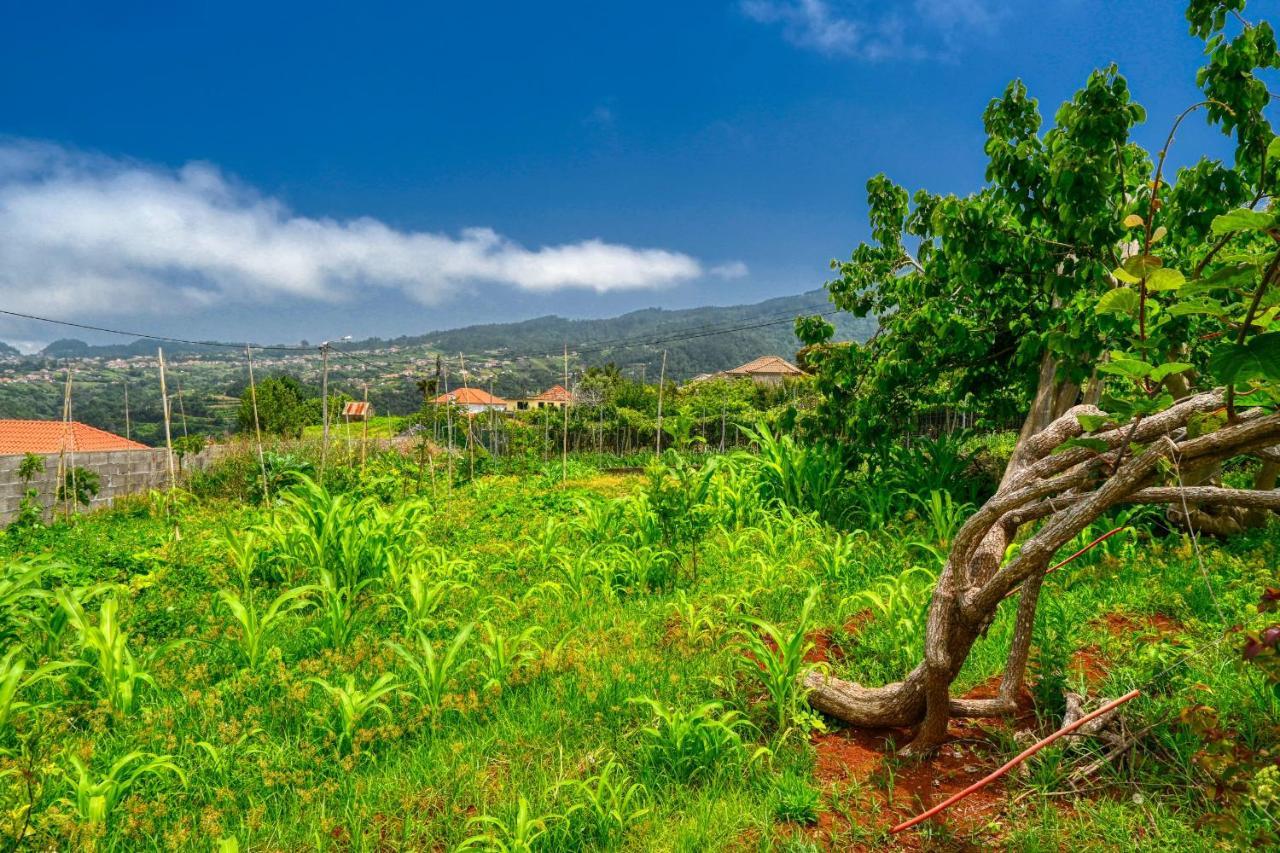 Os Ferreirinhos, A Home In Madeira São Jorge Exteriér fotografie